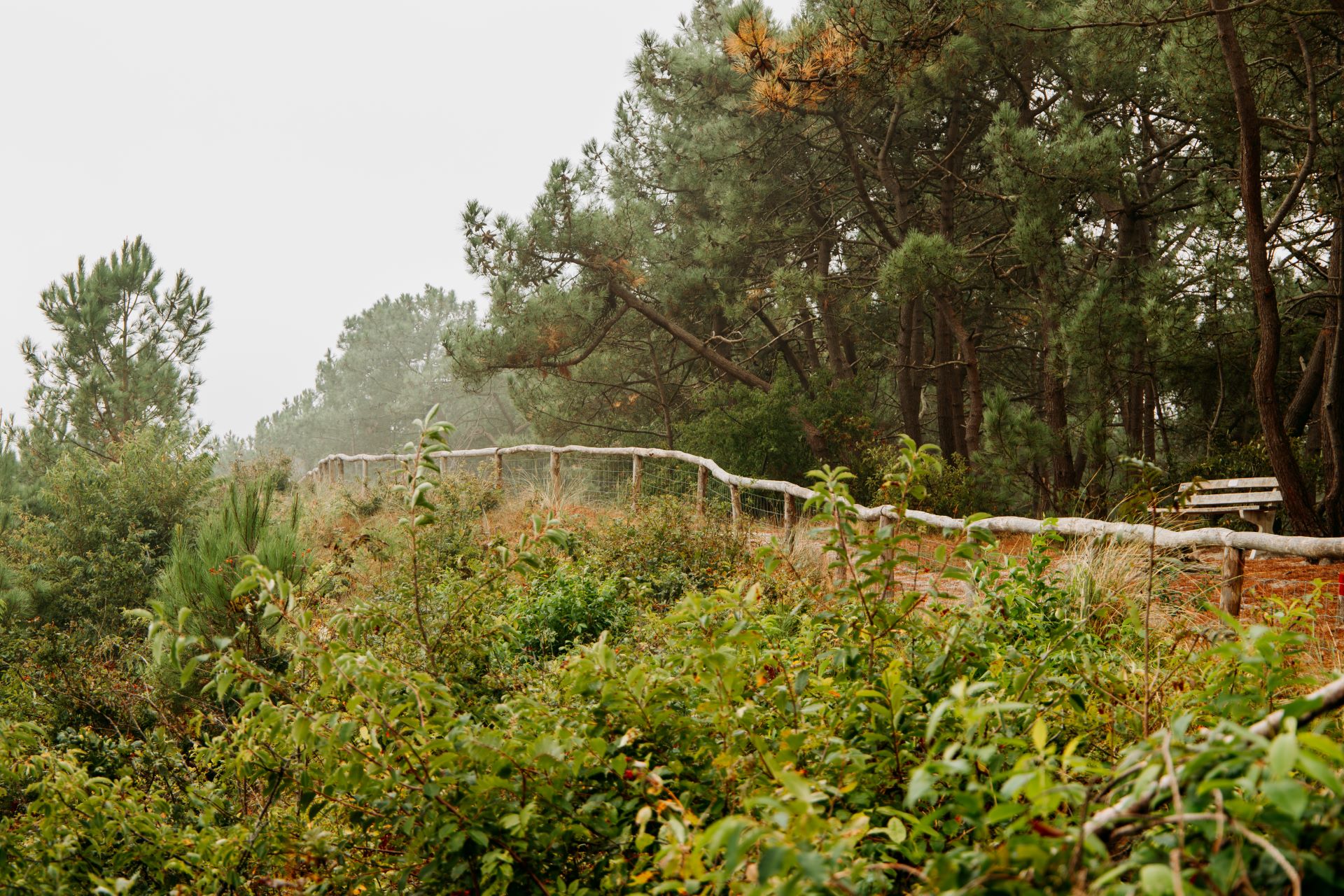 Groet uit Schoorl Run